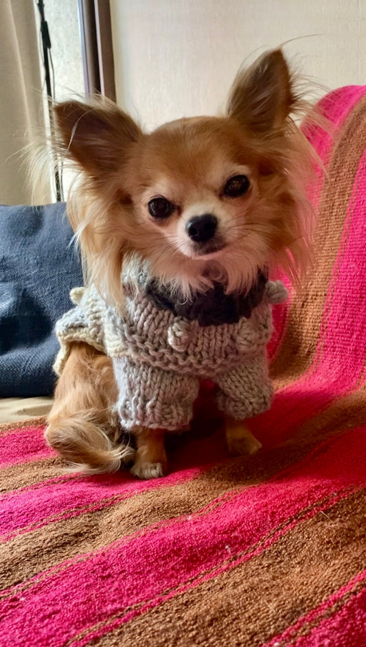 Doggy Pop Sweater – Curso Digital (PDF + Videos)