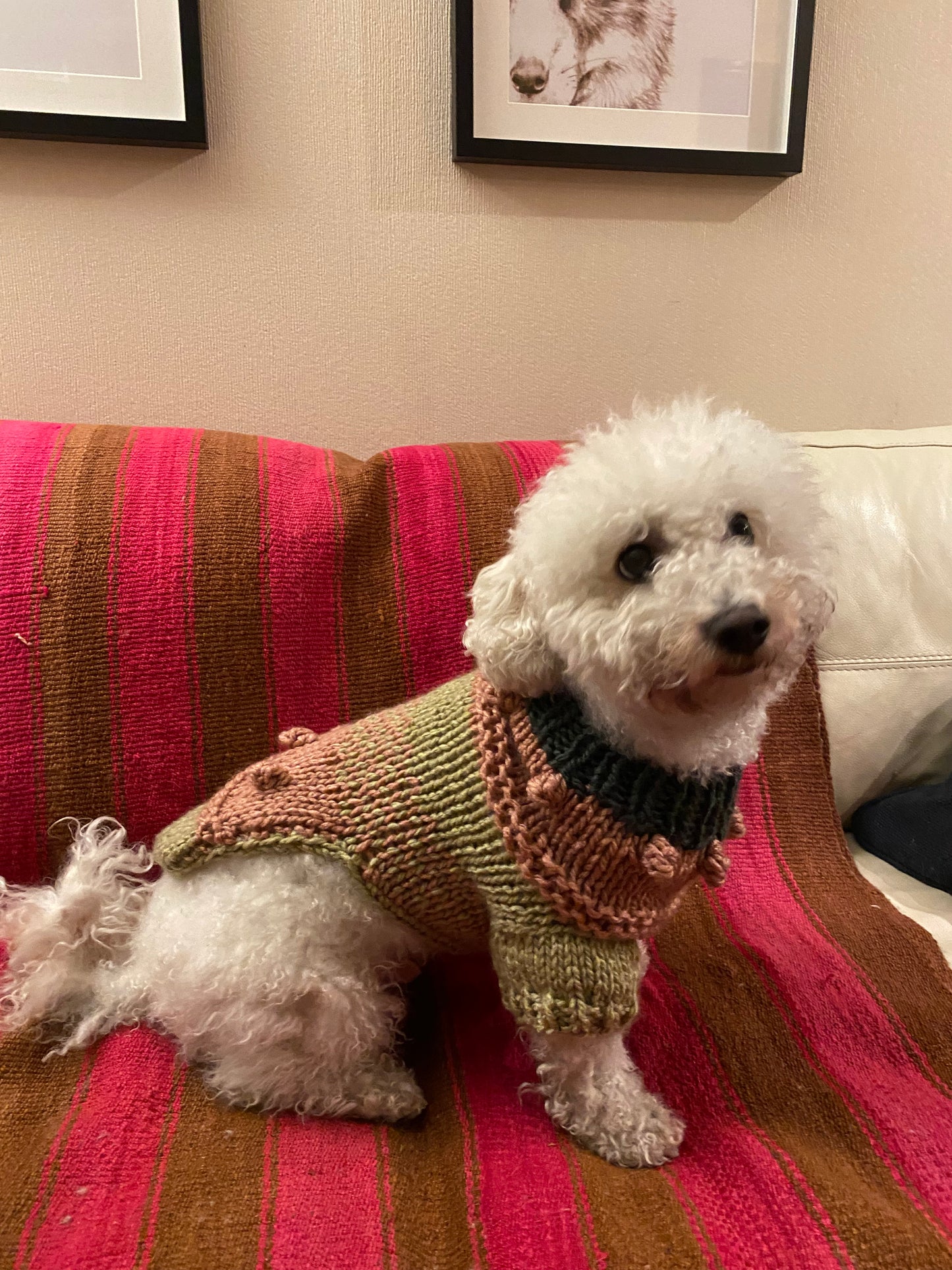 Doggy Pop Sweater – Curso Digital (PDF + Videos)