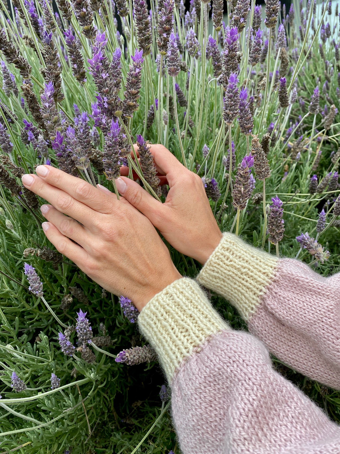Curso Digital Sweater Rosatti (PDF + Videos) - Palillos