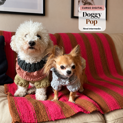 Curso Digital Doggy Pop Sweater - Aprende a tejer un sweater a palillos (PDF + videos)