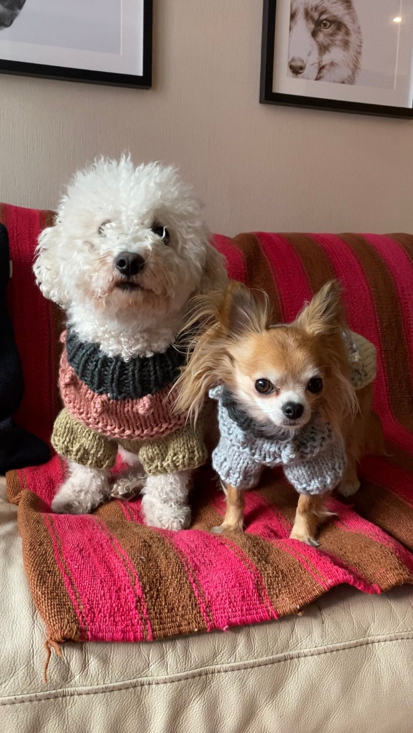 Doggy Pop Sweater – Curso Digital (PDF + Videos)